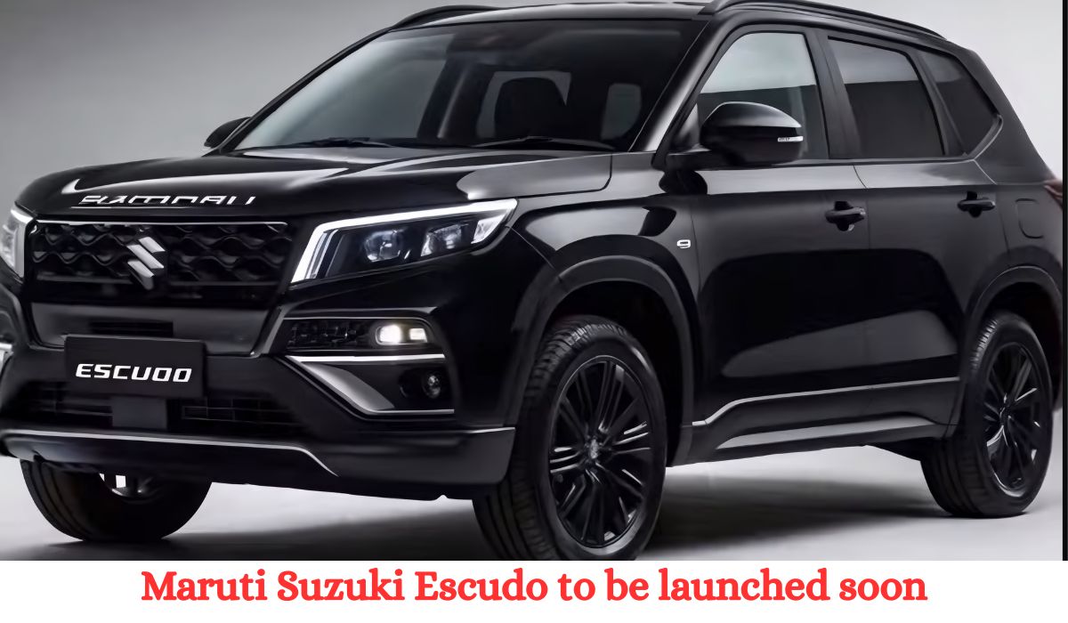 Maruti Suzuki Escudo is set to be launched soon.