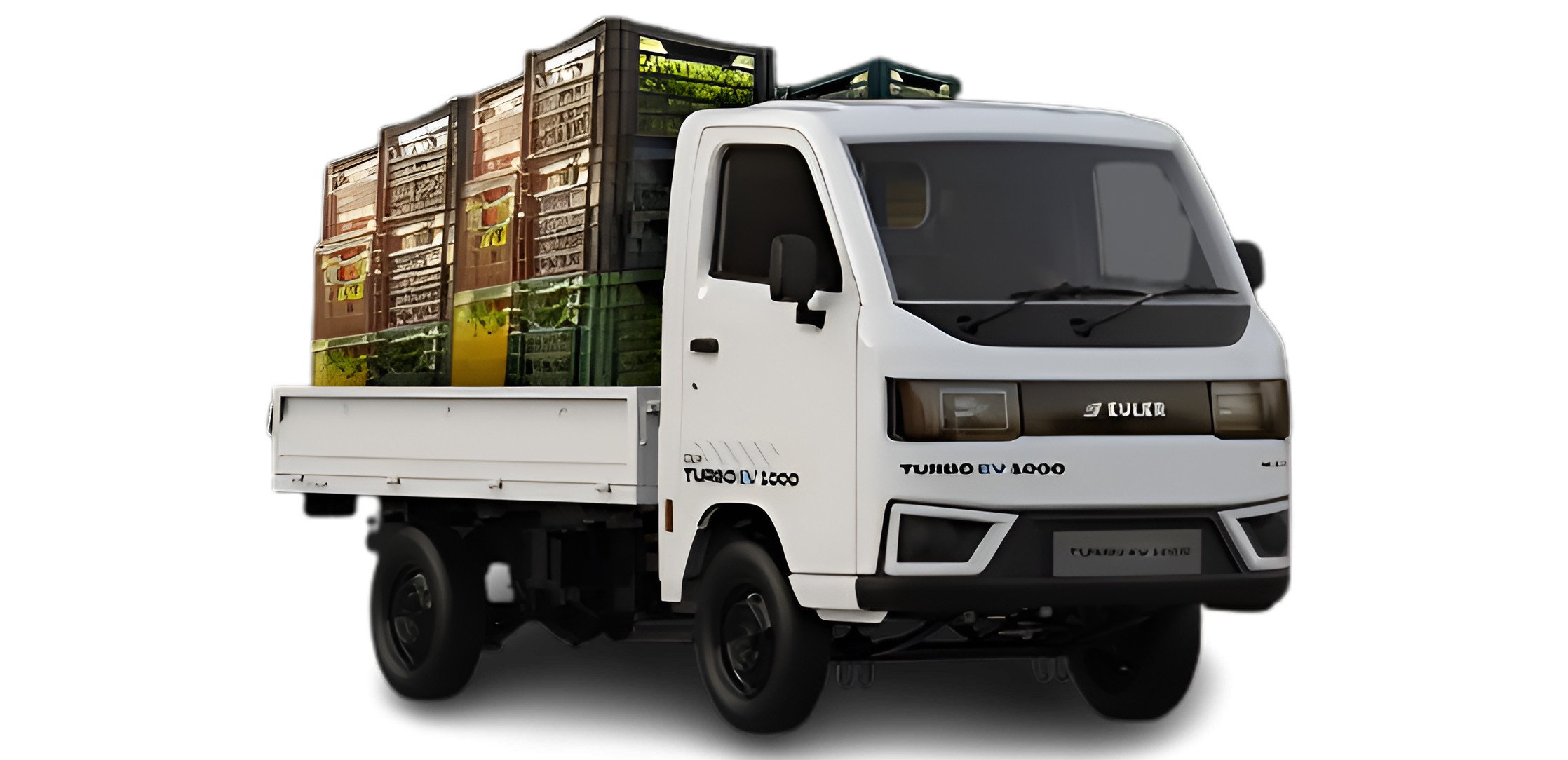 Euler Turbo EV 1000: Affordable 1-Tonne Cargo EV Launched